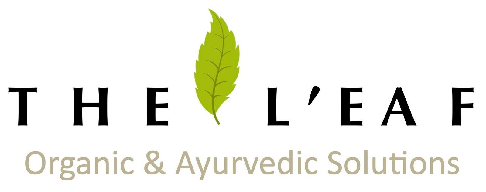 T-H-E-L-e1728756225716