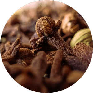 Ceylon Clove - Dry ( Mom's Garden )