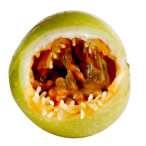 Ceylon Passion Fruit - Fresh / price image
