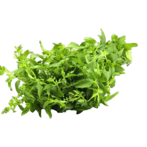 Mukunuwenna - Fresh  ( Mom's Garden )