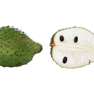 Ceylon Soursop Fruit - Fresh - price / image