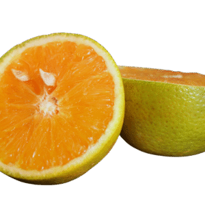 Ceylon Wild Orange  - Fresh n0 ptice / image
