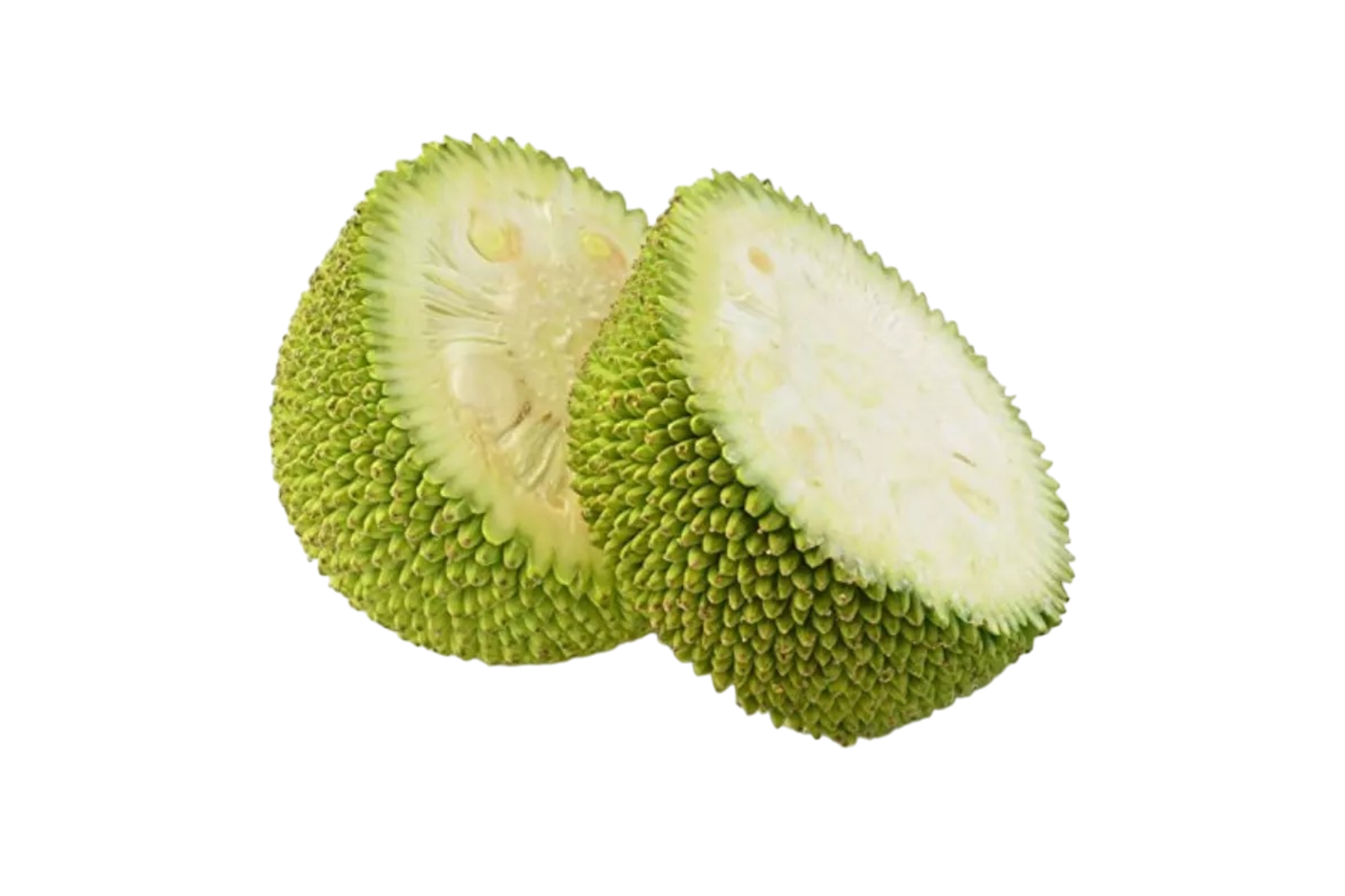 Polos - Fresh ( Moms's Garden ) - Image 2