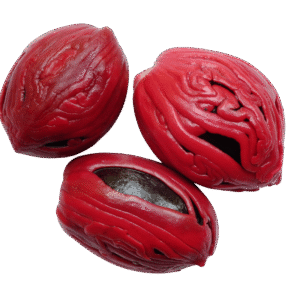 Ceylon Nutmeg Mace - Dry ( Mom's Garden )