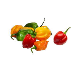 Scotch Bonnet - Fresh ( Moms's Garden )