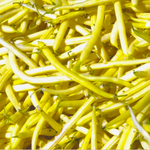 Sri Lankan Butter Beans – බටර් බෝංචි – فاصوليا الزبدة -  Fresh  ( Sri Lanka ) - no price