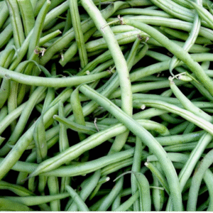 Sri Lankan Green Beans – බෝංචි – الفاصوليا الخضراء -  Fresh (Copy) - No price