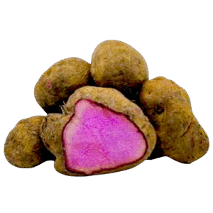 Purple Yam – රාජ අල – القلقاس البنفسجي -  Fresh  ( Sri Lanka ) - AAA