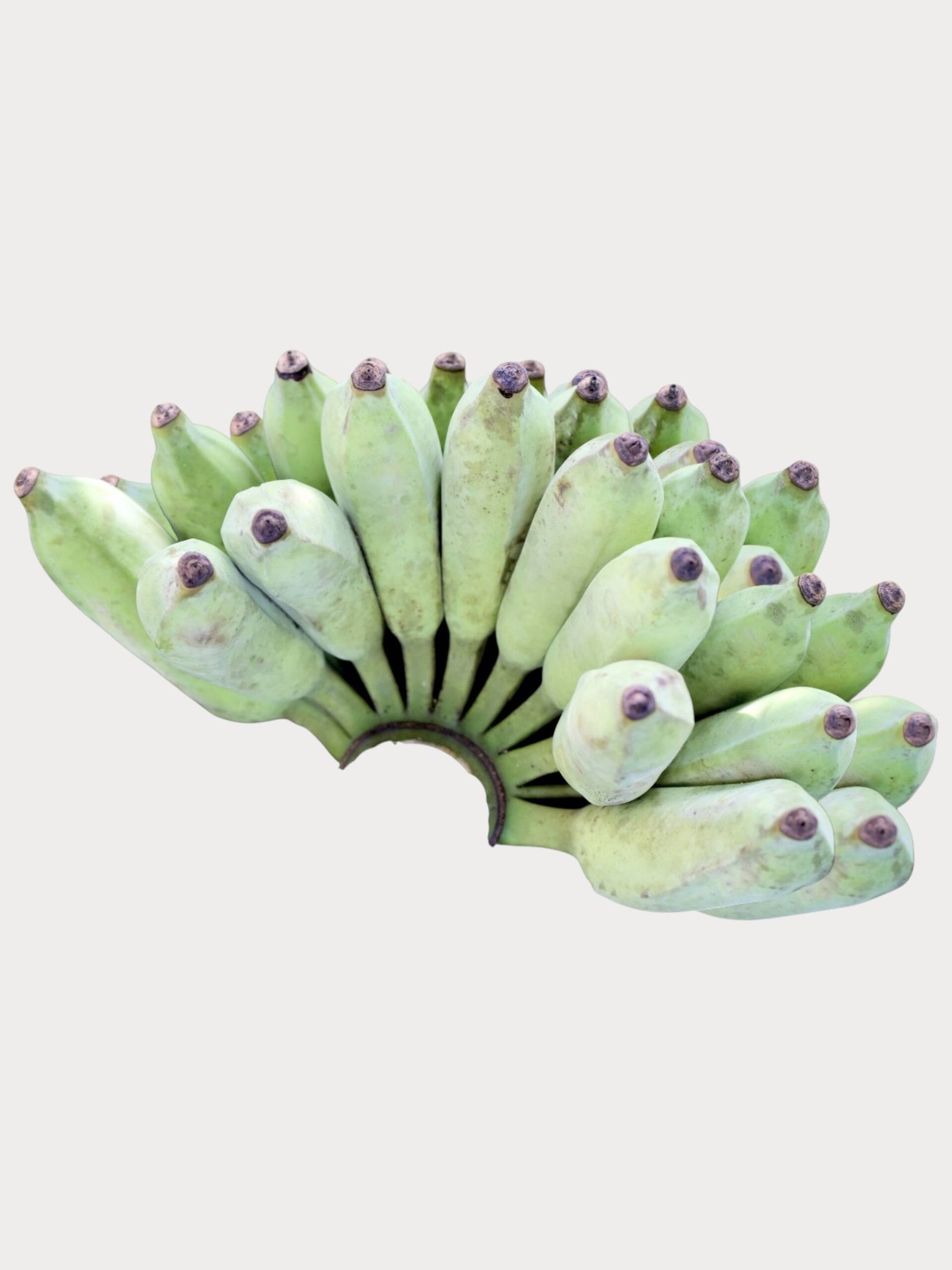 Ash Banana – අළු කෙසෙල් – موز الرماد - Fresh ( Sri Lanka ) - No price /