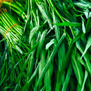 Kang Kung – කංකුං – كانغ كونغ -  Fresh ( Sri Lanka ) - DD