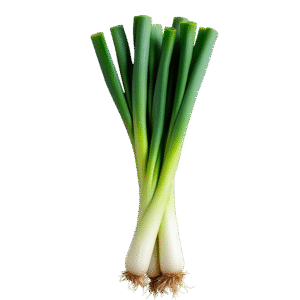 Leeks – ලීක්ස් – الكراث -  Fresh  ( Sri Lanka ) - No price / image