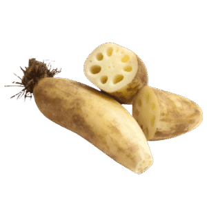 Lotus Root – නෙලුම් අල – جذور اللوتس -  Fresh  ( Sri Lanka ) - AAA