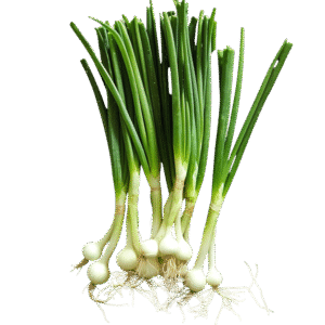 Onion Leaves – ළූණු කොළ – بصل أخضر - Fresh ( Sri Lanka ) - price no t