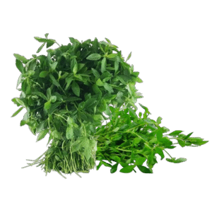 Mukunuwenna – මුකුණුවැන්න – موكونوينّا  - Fresh ( Sri Lanka )  (Copy) no price / image