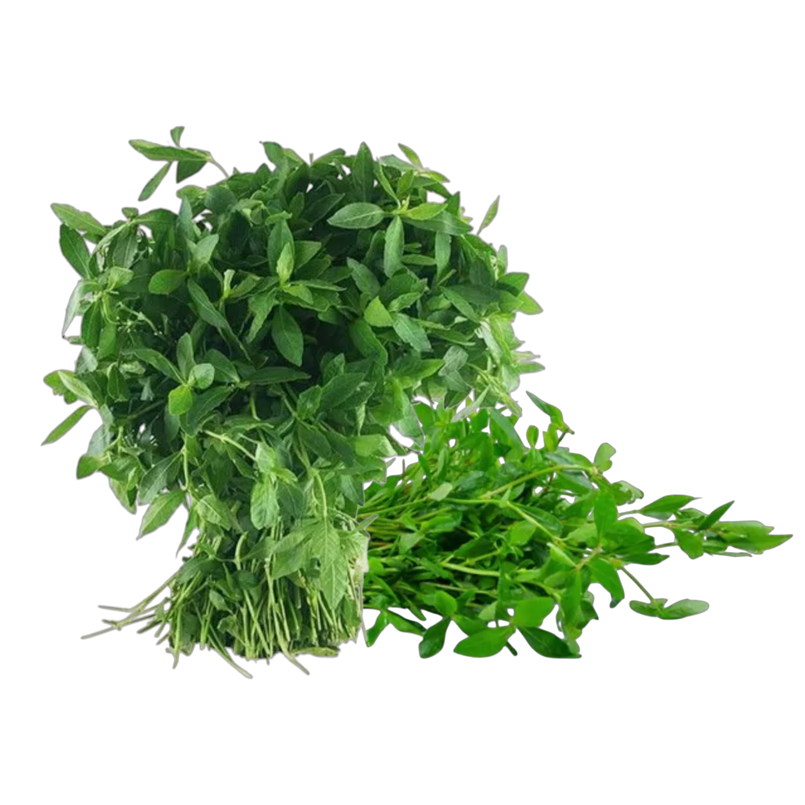 Mukunuwenna – මුකුණුවැන්න – موكونوينّا - Fresh ( Sri Lanka ) (Copy) no price / image