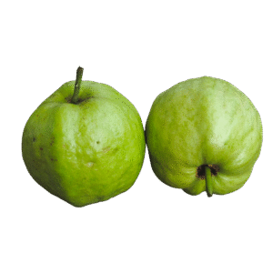 Sri Lankan Guava – පේර – جوافة سريلانكية -  Fresh  ( Sri Lanka ) (Copy) - no price / image