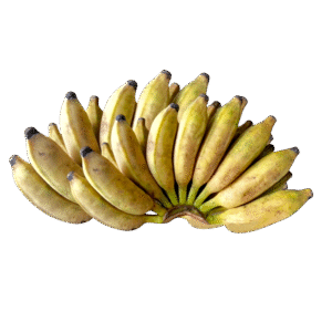 Sri Lankan Sweet Banana– සීනි කෙසෙල් – موز سيني -  Fresh  ( Sri Lanka ) (Copy) - no price